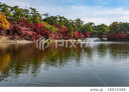 愛知 岡崎東公園の紅葉 あしのべ池と浮御堂 噴水の写真素材