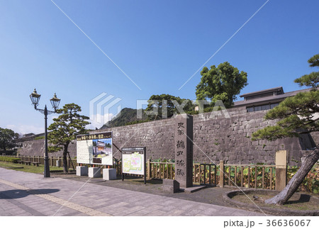 鶴丸城跡　西郷どん　鹿児島観光スポット　大河ドラマの舞台 36636067