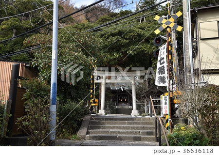 御霊神社踏切と鳥居 36636118