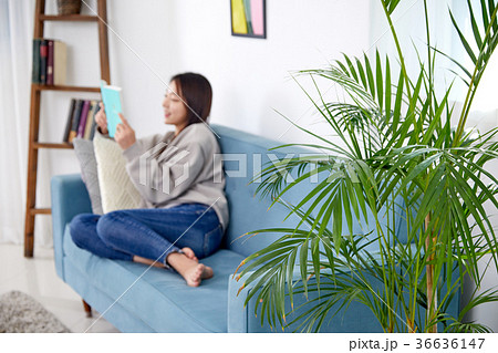 読書 休憩 休み 36636147