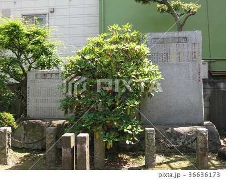 墨田区の野見宿禰神社にある歴代横綱石碑 36636173