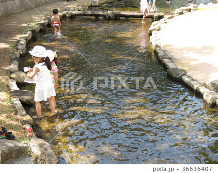大横川親水公園のじゃぶじゃぶ水路 大横川親水公園のじゃぶじゃぶ水路 36636407