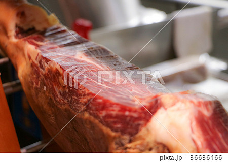 ハモンイベリコの原木 36636466