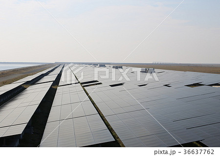 太陽光発電パネル 36637762