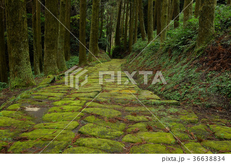 龍門司坂 龍門司坂 36638834