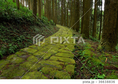 龍門司坂 36638836