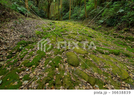 龍門司坂 龍門司坂 36638839