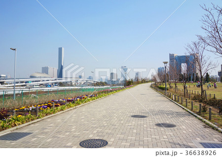 東京臨海副都心　都市風景 36638926