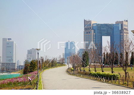 東京臨海副都心　都市風景 36638927