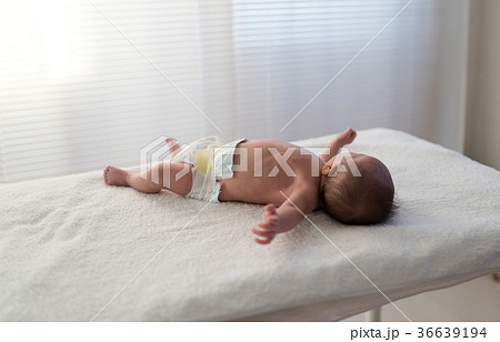 ベビーフォト 36639194