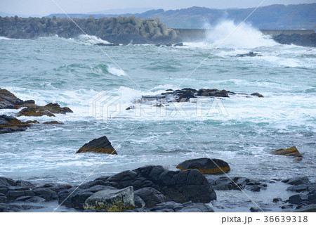 黄金岬の波濤 36639318