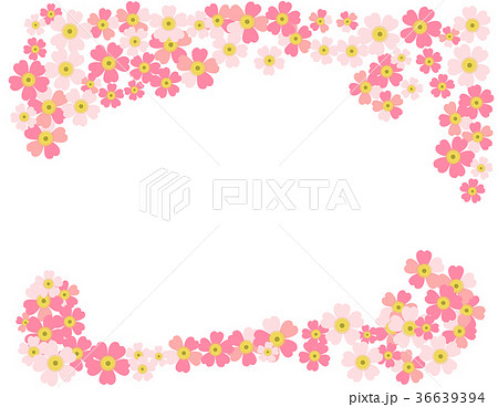 Romantic floral background Flower Japanese daisies 36639394