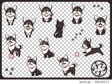 チワワ02のイラスト素材