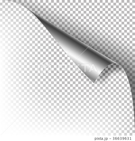 Curled Silver Metalic Corner Vector. 36639631