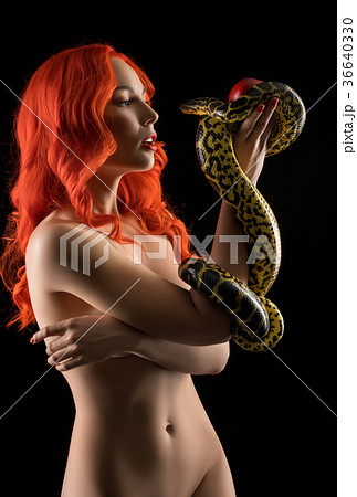 Nude red-haired female with python isolated shot Nude red-haired female with python isolated shot 36640330