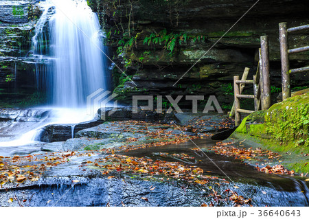 つがね落しの滝の秋景色 36640643