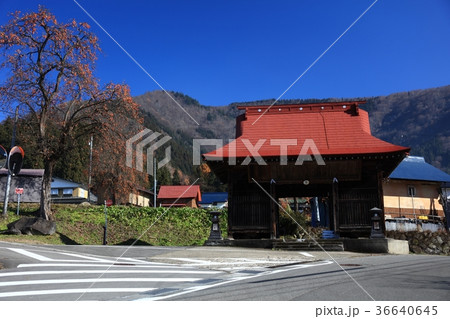 小菅の里仁王門 小菅の里仁王門 36640645