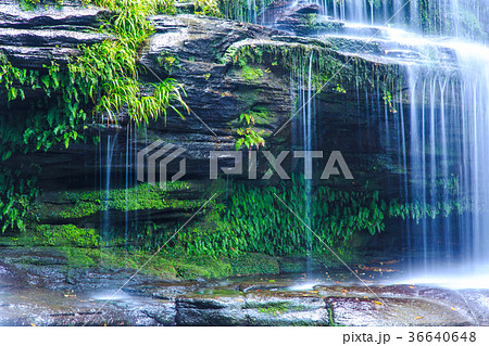 つがね落しの滝の秋景色 36640648