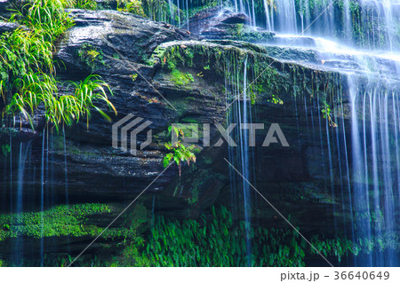 つがね落しの滝の秋景色 36640649