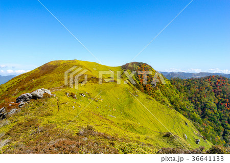 四国一美しい!三嶺~西熊山~天狗塚縦走路(徳島県三好市) ※作品コメント欄に撮影位置情報有り 四国一美しい!三嶺~西熊山~天狗塚縦走路(徳島県三好市) ※作品コメント欄に撮影位置情報有り 36641133