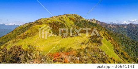【高解像パノラマ】四国一美しい！三嶺～天狗塚縦走路（徳島県三好市）　※作品コメント欄に撮影位置情報有 36641141