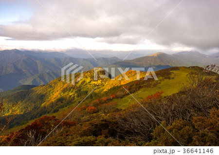 四夕日に輝く、四国一美しい、三嶺~西熊山~天狗塚縦走路(徳島県三好市) ※作品コメント欄に撮影位置情 四夕日に輝く、四国一美しい、三嶺~西熊山~天狗塚縦走路(徳島県三好市) ※作品コメント欄に撮影位置情 36641146