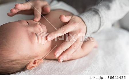 新生児 新生児 36641426
