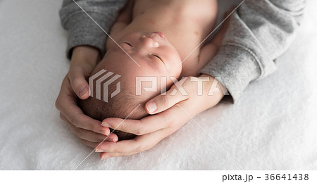 新生児 新生児 36641438