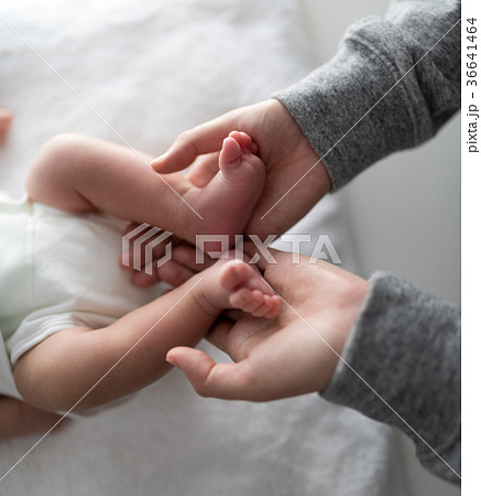 新生児 新生児 36641464