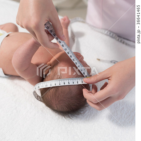 赤ちゃん 36641465