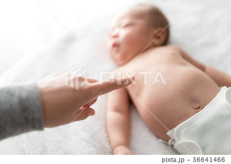 新生児 36641466