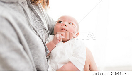 新生児 新生児 36641479