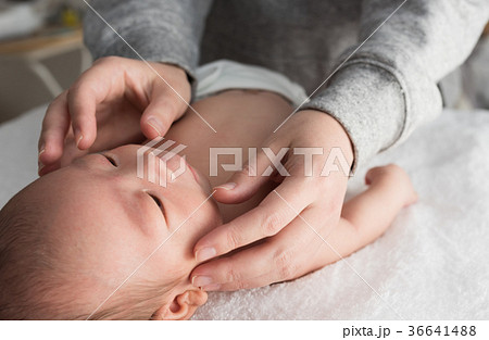 新生児 36641488
