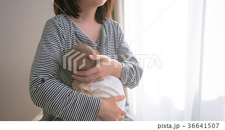 あかちゃん あかちゃん 36641507