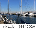ヨットハーバー 36642020
