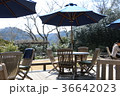 オープンカフェ 36642023