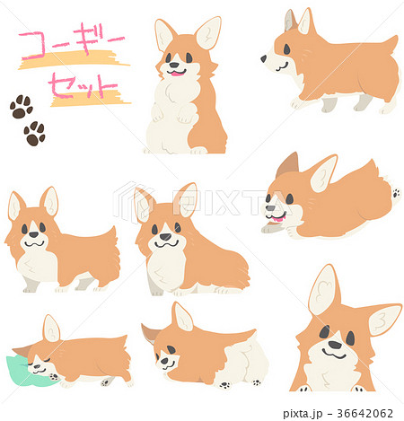 美しい花の画像 ユニークコーギー イラスト 美しい花の画像 ユニークコーギー イラスト