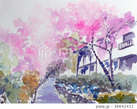 桜のスケッチ　校舎　学び舎　春 36642415