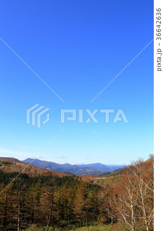 北海道　狩勝峠絶景（富良野側） 36642636