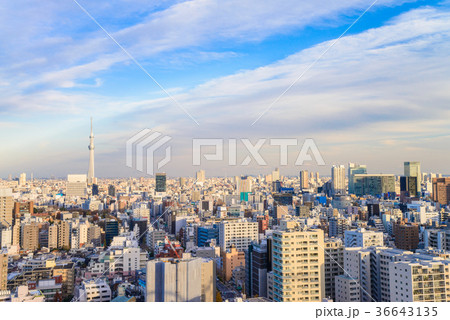 東京スカイツリーと都市風景 東京スカイツリーと都市風景 36643135