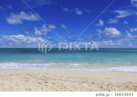 波 海 ビーチ 36643645