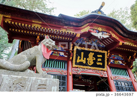 三峯神社随身門の御神犬 36643697