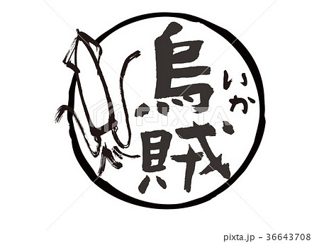 いか 烏賊 筆文字 水彩画のイラスト素材