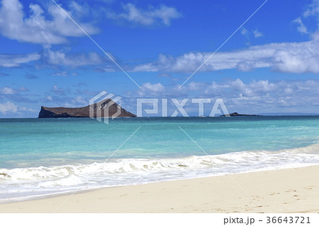 波 海 ビーチ 36643721