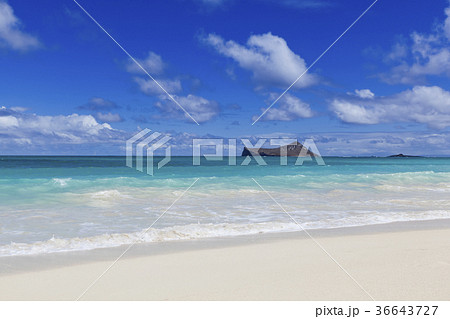 波 海 ビーチ 36643727