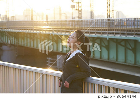 女性 女 女の子 36644144