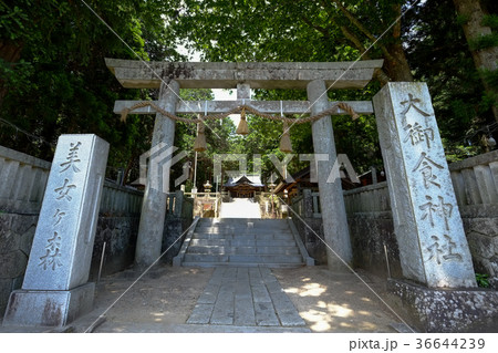 大御食神社　鳥居 36644239