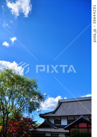 江戸以前の町並み 江戸以前の町並み 36644291