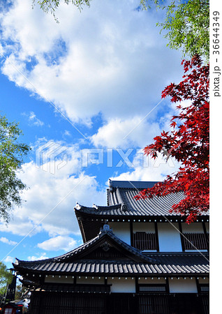 江戸以前の町並み 36644349