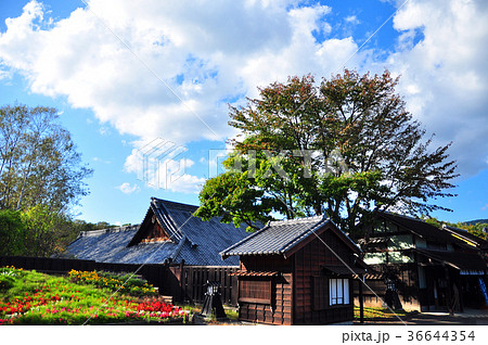 江戸以前の町並み 36644354